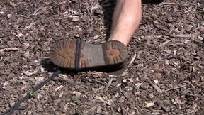 Marshall - Chapter 1