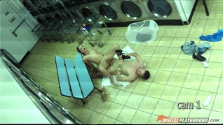 Spin Cycle
