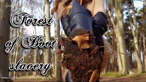 Forest of Boot slavery