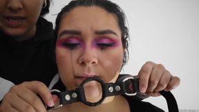 Slut Training in Progress