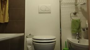 collection: 3 spied while going to the toilet