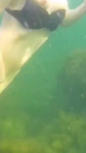 Key moment from &quot;I was fishing underwater but instead of fish met sexy girl who flashed me her hairy pussy&quot;