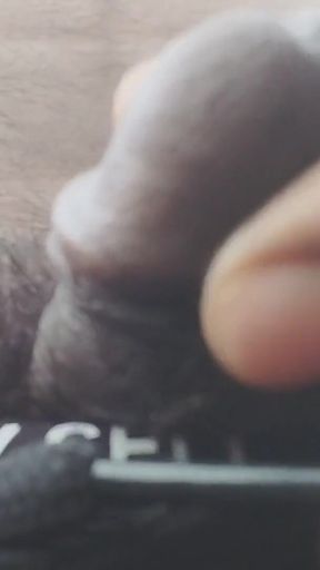 Must-share moment from &quot;Exercise sex kasrat karte hue Dekhte Hue jungle mein&quot;