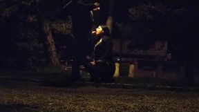 Whore deal with a big fat dick in the public park &mdash;  leashed