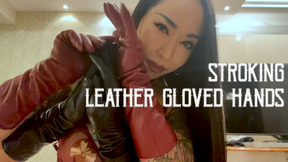 Stroking Leather Gloved Hands