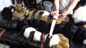 XXXmas Beatings: Ep#2... ReeseAD