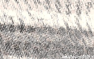 Gunz Blazing AMATEURS DO IT Dennis Maxime