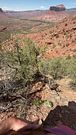 SCENIC PISS. WATCH MY SMALL PENSI RELEASE AFTER A GREAT HIKE