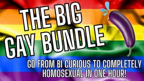 Bi Curious to Homosexual: Go from being timid & bi-curious to confidently homosexual in just over 1 hour with this BIG GAY BUNDLE!