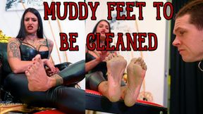 Muddy feet to be cleaned