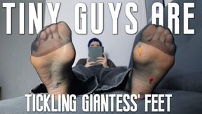 Tickling giantess' nylon feet
