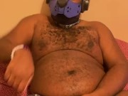 Bator Pup in heat