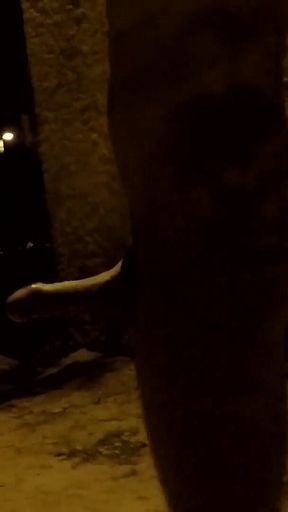 Crusing in a Park at Night - Getting Naked 2