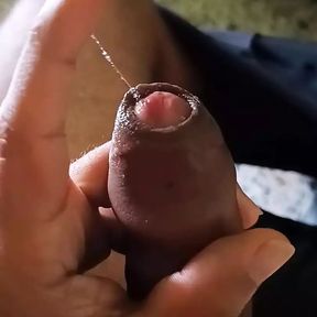 Precum From a Very Hairy Uncut Curved Cock