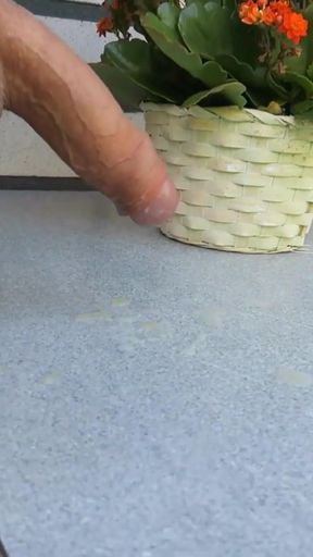 Epic moment from "Wanker in the open air - 3 episodes"