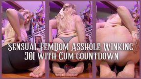 Female Domination Asshole Winking JOI - Dessa Cado - Jerk Off Instructions - Cum Countdown - Asshole Fetish