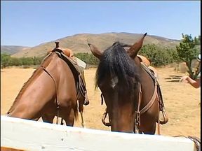 Sexy blonde cowgirl gets her shaved box filled with a hard cock