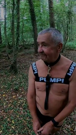 Part 1 Walk 30   Clip 1