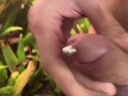 jerk off front of the wildlife
