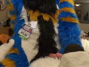 good kitty fucks the cum out of the bad dog then cums hands free