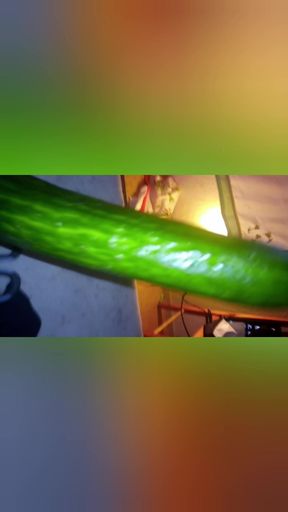 Cucumbers Are Not Superior to Us