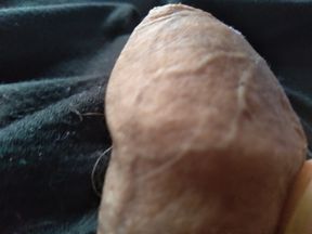dude masters his mega penis to masturbate him
