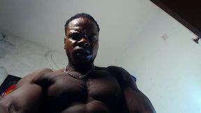 Byron Stallion Private Show