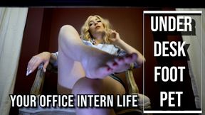 Under Desk Office Pet