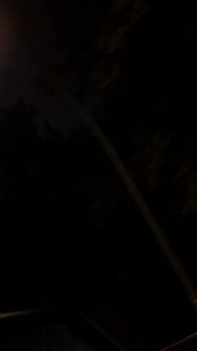 MILF Sucks My Cock in the Car