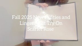 Fall 2025 Panties and Lingerie Try On