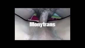 Monytrans Asti 3248405735
