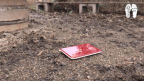 Laptop in the Forest