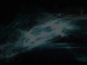 The remote controller