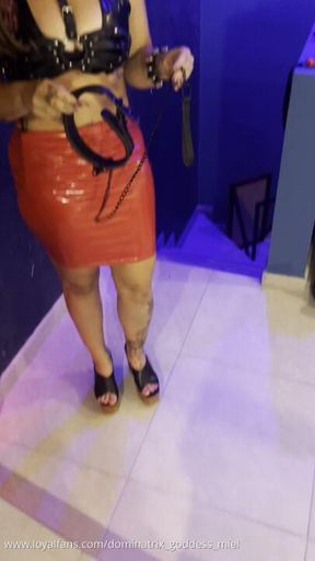 LEASHED AND COLLARED PET PLAY