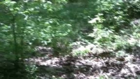 Mature Christie Wet Picnic In The Woods Turns Into BBC Gangbang! (2 of 6 mp4)