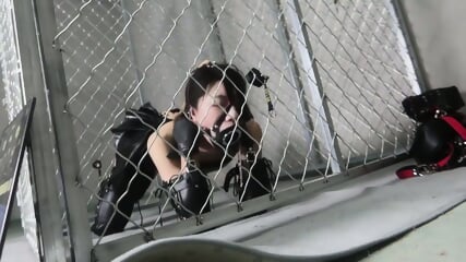 Cd Petplay  Kinky4Ever