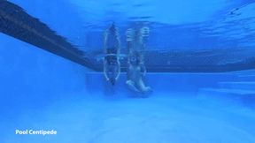 Evie Christian - Subnado Episode - 6 - Pool Cenetipede (HD-720)