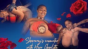 Big Tits Shammy Encounters With Herr
