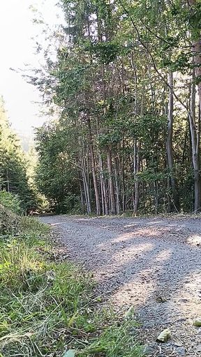 Scooter Rider Outdoor Masturbation