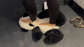 Barefoot Teddy Bear Walk – Soft & Playful Pressure Stomping