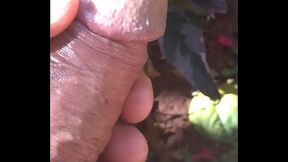 BRINCANDO COM O PAU NO QUINTAL