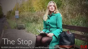 The Stop - Bree Haze - TheLifeErotic