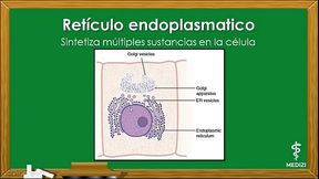 Fisiolog&iacute_a Celular - La C&eacute_lula, partes y funciones