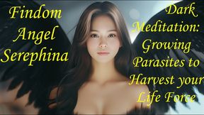 Dark Meditation Growing Parasites to Harvest your Life Energy