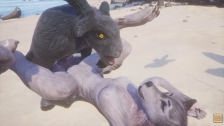 Wild Life / Rasha Furry Wolf Girl at the Beach