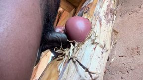 Ass Is Very Sweet in My Prison Room