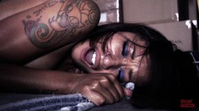 Skin Diamond's Intense Submission in Dark Erotic Heat