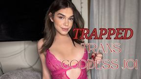 trapped- trans goddess JOI