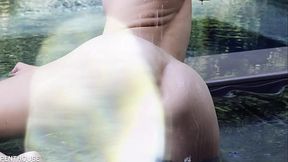 Pet of the Month November 2017