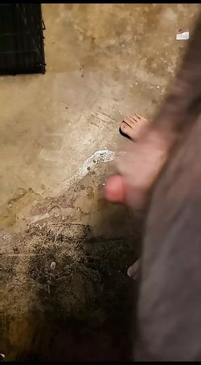 Just a quickie